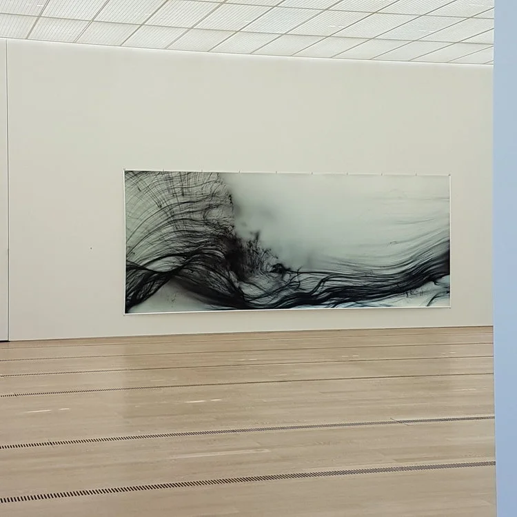 Wolfgang Tillmans FONDATION BEYELER Die Freiheit zu schauen